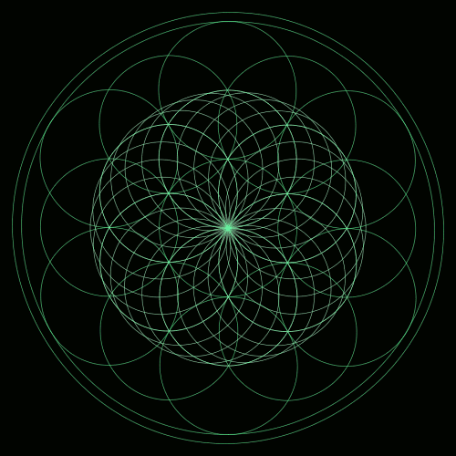Bild von platonische Körper in der Blume des Lebens + 1 Torus
