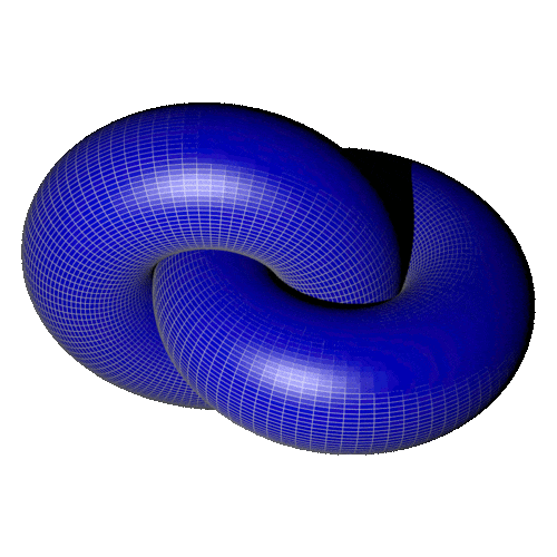 Torus im Torus sich drehend
